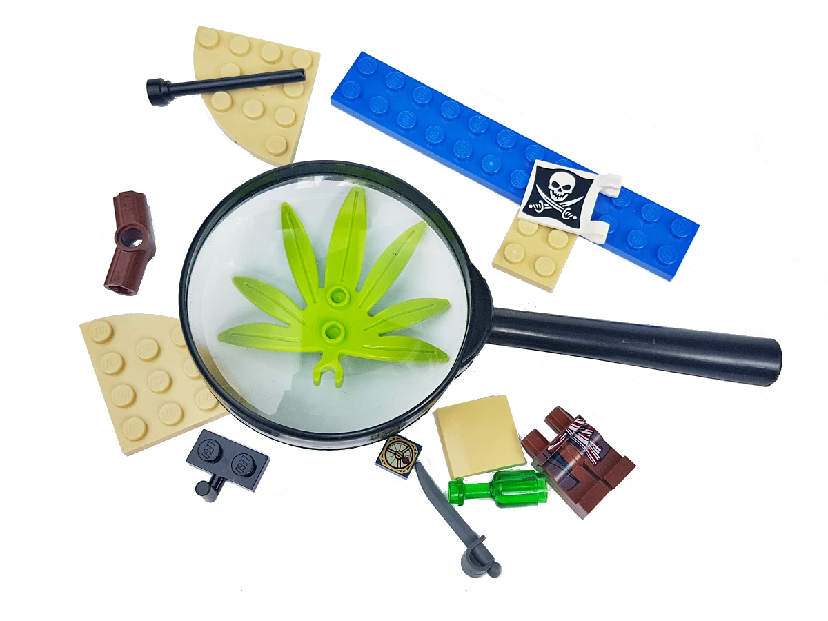 Lupa - szkło powiększające i klocki  LEGO®