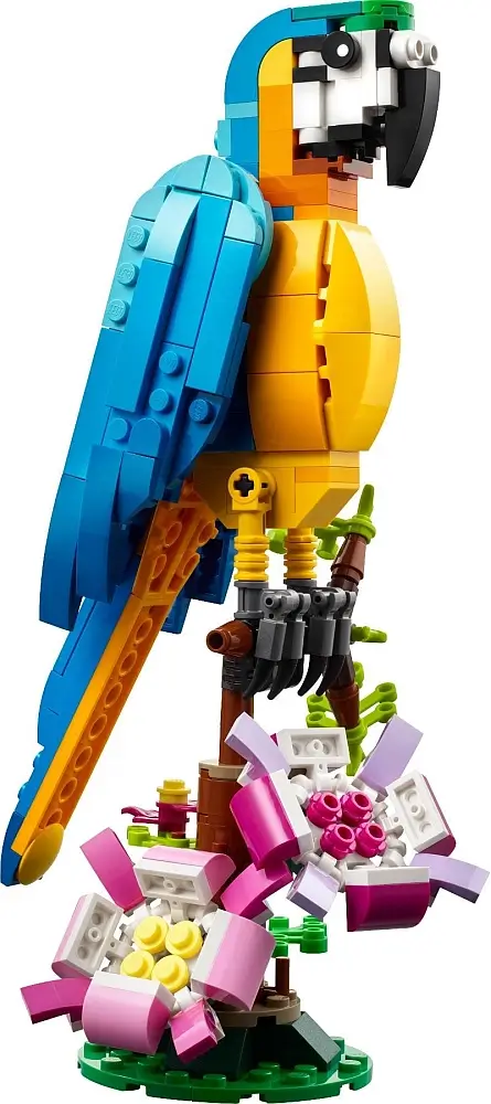 Egzotyczna papuga z klocków LEGO® – seria Creator™