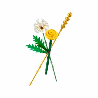 LEGO 30701 Botanicals Kwiaty polne