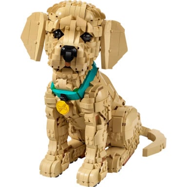 LEGO 11384 Icons Szczeniak golden retriever