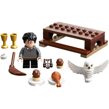 LEGO 30420 Harry Potter Harry Potter i Hedwiga: przesyłka dostarczona przez sowę
