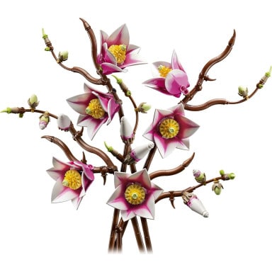 LEGO 11510 Botanicals Gałązki magnolii