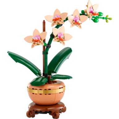 LEGO 10343 Botanicals Mała orchidea