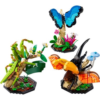 LEGO 21342 Ideas Kolekcja owadów