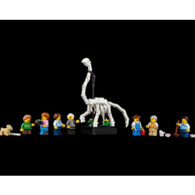 LEGO 10326 Icons Muzeum Historii Naturalnej – zdjęcie
