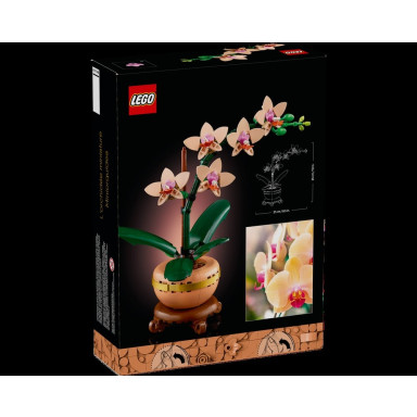 LEGO 10343 Botanicals Mała orchidea – zdjęcie