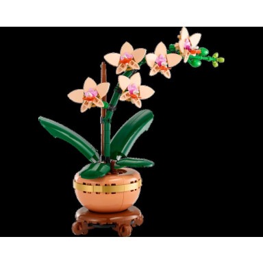LEGO 10343 Botanicals Mała orchidea – zdjęcie