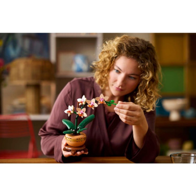 LEGO 10343 Botanicals Mała orchidea – zdjęcie