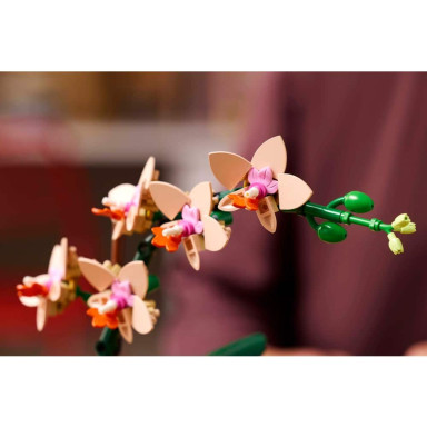 LEGO 10343 Botanicals Mała orchidea – zdjęcie