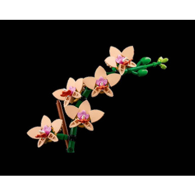 LEGO 10343 Botanicals Mała orchidea – zdjęcie