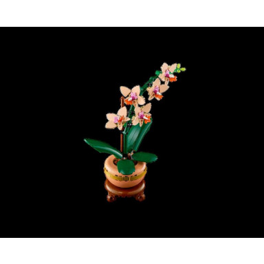 LEGO 10343 Botanicals Mała orchidea – zdjęcie