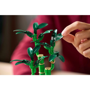 LEGO 10344 Botanicals Dracena sandera – zdjęcie