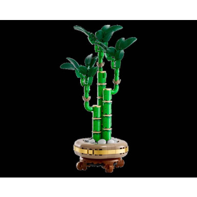 LEGO 10344 Botanicals Dracena sandera – zdjęcie
