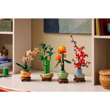 LEGO 10344 Botanicals Dracena sandera – zdjęcie