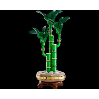 LEGO 10344 Botanicals Dracena sandera – zdjęcie