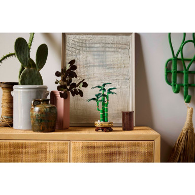 LEGO 10344 Botanicals Dracena sandera – zdjęcie