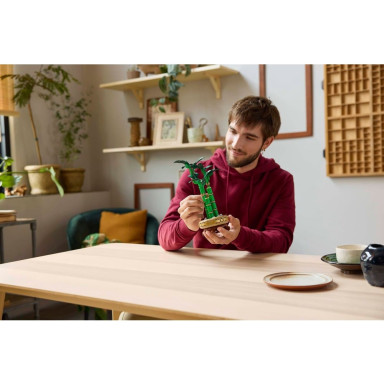 LEGO 10344 Botanicals Dracena sandera – zdjęcie