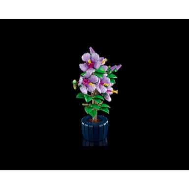 LEGO 10372 Botanicals Hibiskus – zdjęcie