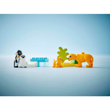 LEGO 10442 Duplo Rodziny dzikich zwierząt: pingwiny i lwy – zdjęcie
