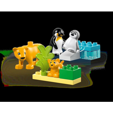 LEGO 10442 Duplo Rodziny dzikich zwierząt: pingwiny i lwy – zdjęcie