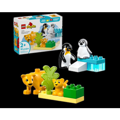 LEGO 10442 Duplo Rodziny dzikich zwierząt: pingwiny i lwy – zdjęcie