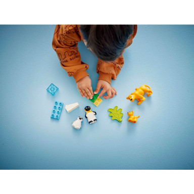 LEGO 10442 Duplo Rodziny dzikich zwierząt: pingwiny i lwy – zdjęcie