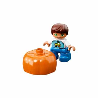 LEGO 10867 Duplo Na targu – zdjęcie