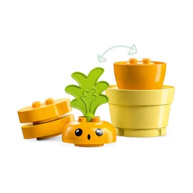 LEGO 10981 Duplo Rosnąca marchewka – zdjęcie