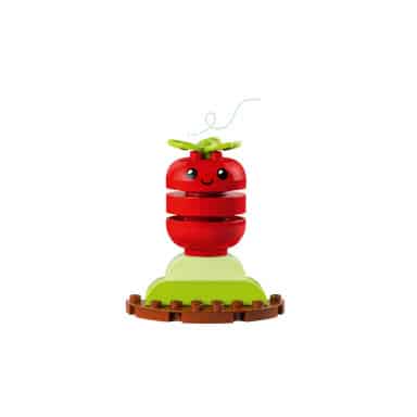 LEGO 10984 Duplo Ogród uprawowy – zdjęcie