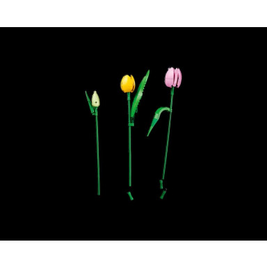 LEGO 11501 Botanicals Bukiet tulipanów – zdjęcie