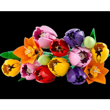 LEGO 11501 Botanicals Bukiet tulipanów – zdjęcie