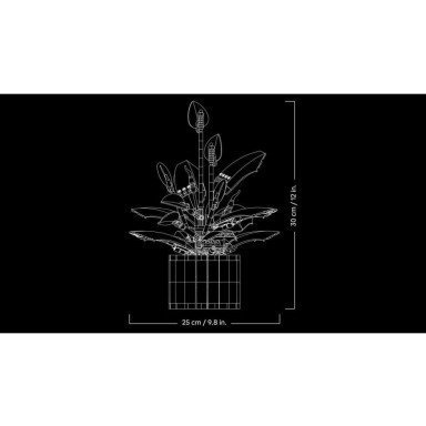 LEGO 11504 Botanicals Skrzydłokwiat – zdjęcie