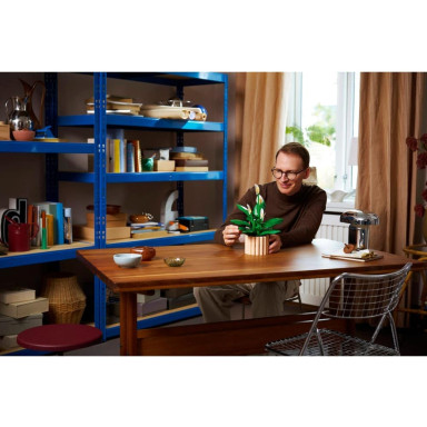 LEGO 11504 Botanicals Skrzydłokwiat – zdjęcie