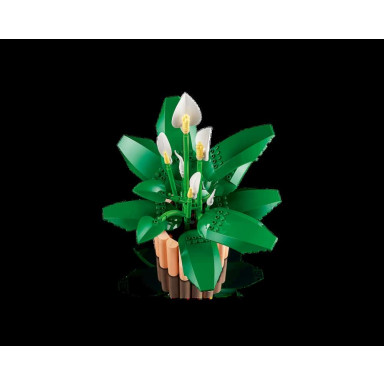 LEGO 11504 Botanicals Skrzydłokwiat – zdjęcie