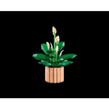 LEGO 11504 Botanicals Skrzydłokwiat – zdjęcie