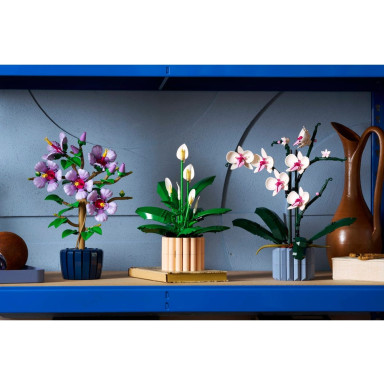 LEGO 11504 Botanicals Skrzydłokwiat – zdjęcie