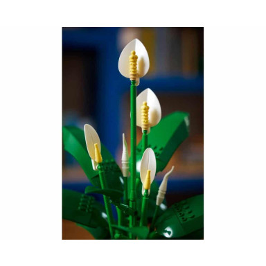 LEGO 11504 Botanicals Skrzydłokwiat – zdjęcie