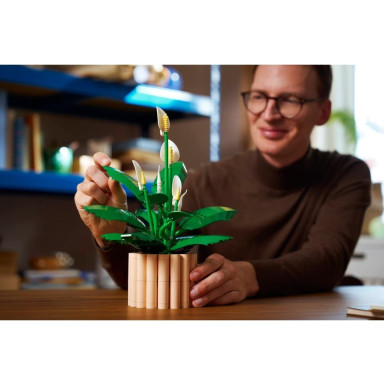 LEGO 11504 Botanicals Skrzydłokwiat – zdjęcie