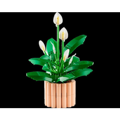 LEGO 11504 Botanicals Skrzydłokwiat – zdjęcie