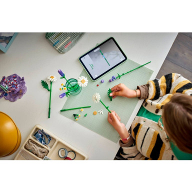 LEGO 11508 Botanicals Stokrotki – zdjęcie
