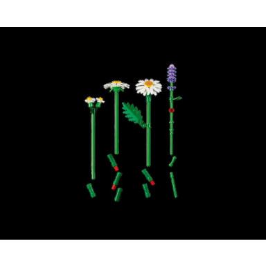 LEGO 11508 Botanicals Stokrotki – zdjęcie