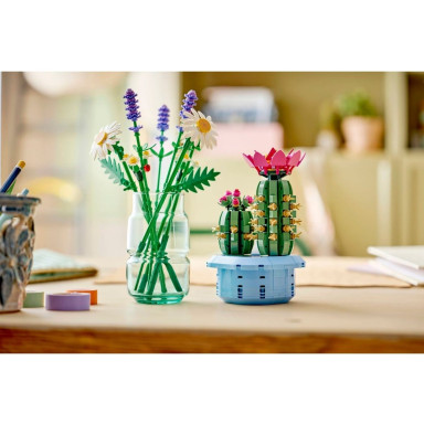 LEGO 11509 Botanicals Kwitnący kaktus – zdjęcie