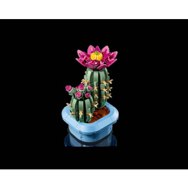 LEGO 11509 Botanicals Kwitnący kaktus – zdjęcie