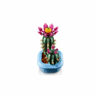 LEGO 11509 Botanicals Kwitnący kaktus – zdjęcie