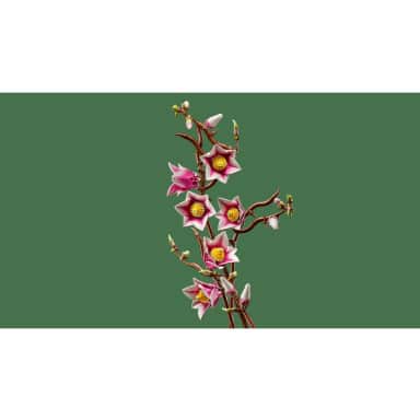 LEGO 11510 Botanicals Gałązki magnolii – zdjęcie
