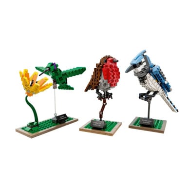 LEGO 21301 Ideas Ptaki – zdjęcie
