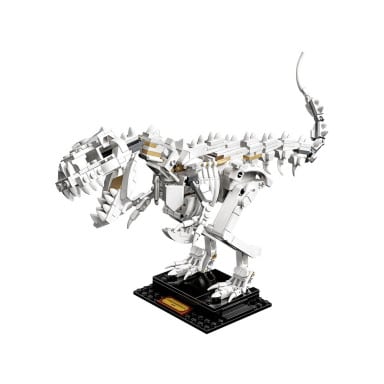 LEGO 21320 Ideas Szkielety dinozaurów – zdjęcie