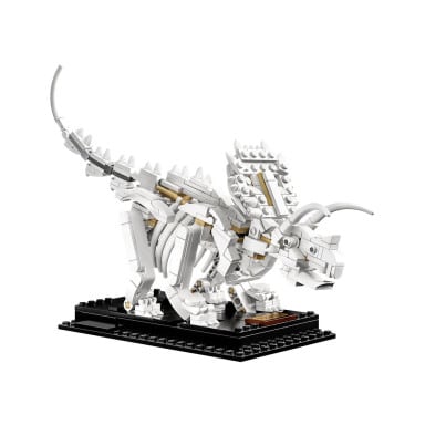 LEGO 21320 Ideas Szkielety dinozaurów – zdjęcie