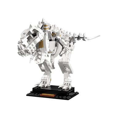 LEGO 21320 Ideas Szkielety dinozaurów – zdjęcie
