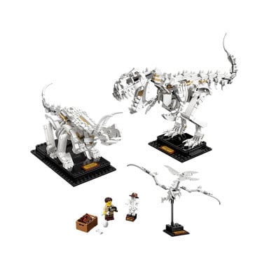 LEGO 21320 Ideas Szkielety dinozaurów – zdjęcie